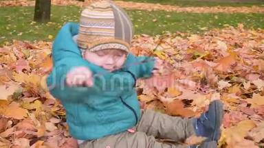 小<strong>男孩</strong>在秋天的<strong>树林</strong>里，爬行和沐浴在树叶里。 stealam